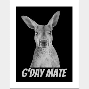 GDay Mate  Australian Kangaroo Posters and Art